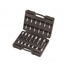 1/2 Набор головок-бит Torx T20-T100 26 пр. (4263)